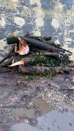 Stookhout, Tuin en Terras, Brandhout, Ophalen of Verzenden