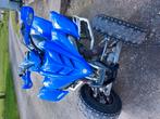 Raptor 350, Motoren