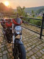 Ducati Monster 696 Monster Art-editie, Motoren, Motoren | Ducati, Particulier