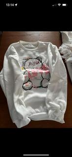 Trui nieuw., Kleding | Dames, Truien en Vesten, Ophalen, Zo goed als nieuw, Maat 42/44 (L)