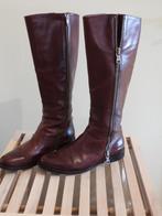 BISCONTI laarzen - mooie bordeauxkleur - leder - mt 39/40, Kleding | Dames, Hoge laarzen, Ophalen of Verzenden, BISCONTI, Gedragen
