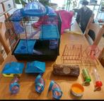 Hamsterkooi + benodigdheden en eten, Dieren en Toebehoren, Ophalen, Zo goed als nieuw, Kooi, Hamster
