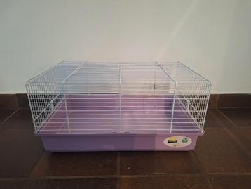 Tijdelijk kooitje voor een hamster of andere knaagdieren beschikbaar voor biedingen