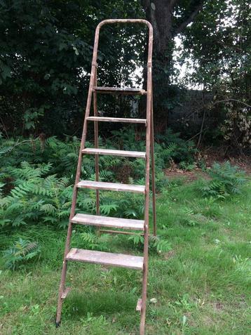 Oude ladder, mooi als etagère, Ophalen