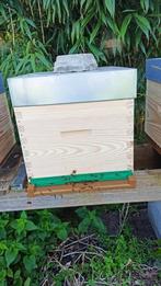 Ruches Dadant nouvelles, avec colonies d'abeilles Buckfast, Ophalen, Lente