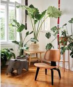 Vitra Eames Lcw Stoel, Huis en Inrichting, Stoelen, Ophalen, Zwart, Design, Zo goed als nieuw