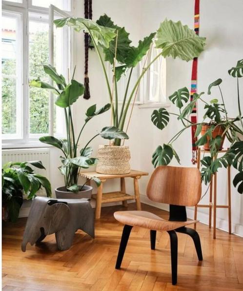 Vitra Eames Lcw Stoel, Huis en Inrichting, Stoelen, Zo goed als nieuw, Eén, Hout, Zwart, Ophalen
