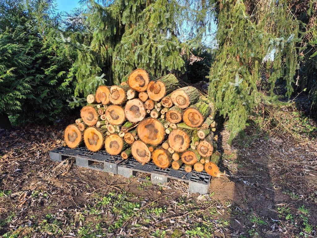 brandhout, Minder dan 3 m³, Ophalen, Overige houtsoorten, Blokken