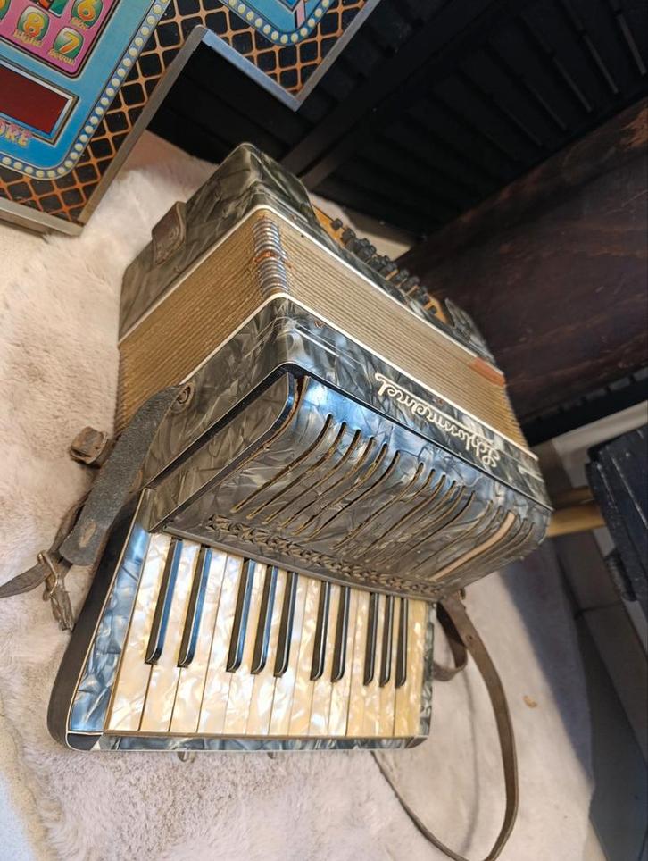 Charmant ancien accordéon vintage Schloss Meinel, Muziek en Instrumenten, Accordeons, Zo goed als nieuw, Ophalen of Verzenden