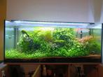 Aquarium, Dieren en Toebehoren, Ophalen, Zo goed als nieuw, Gevuld zoetwateraquarium