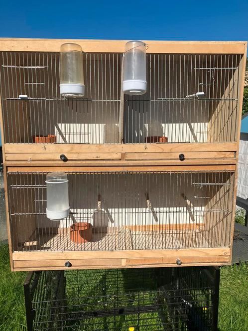 KWEEKBAKKEN MET EET EN DRINKPOTJE VANAF 20 EURO, Dieren en Toebehoren, Vogels | Toebehoren, Zo goed als nieuw, Overige typen, Ophalen