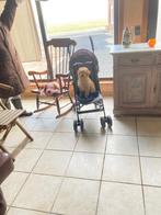 poedel pups abrikoos, Poedel, Parvo, België, Fokker | Hobbymatig