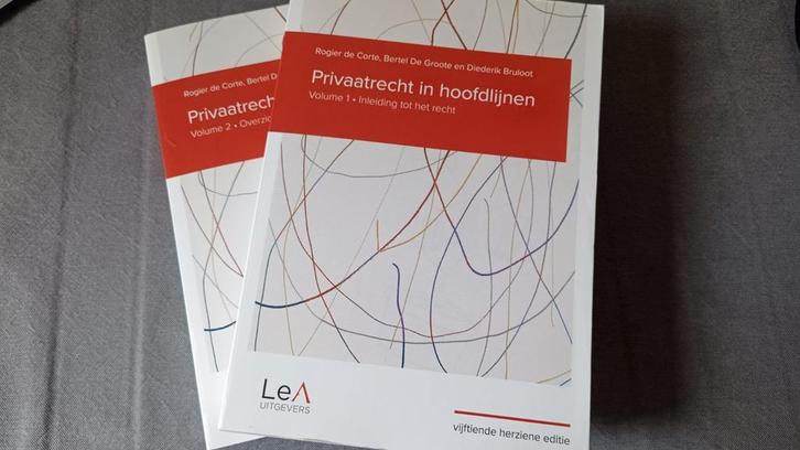 Rogier de Corte - Privaatrecht in hoofdlijnen 15de editie, Boeken, Wetenschap, Gelezen, Ophalen of Verzenden