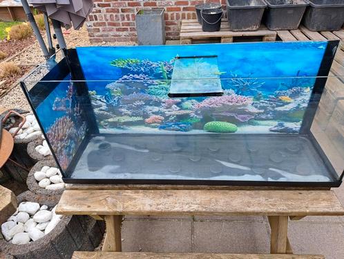 Aquarium allerlei, Dieren en Toebehoren, Vissen | Aquaria en Toebehoren, Zo goed als nieuw, Ophalen
