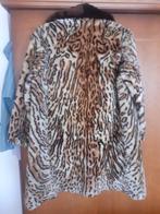 Manteau de leopard, Comme neuf, Enlèvement, Manteau