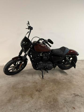 Harley-Davidson XL1200NS Iron – Slechts 1.500 km! beschikbaar voor biedingen