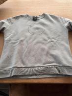 Trui paardensport piqeur, Dieren en Toebehoren, Ophalen of Verzenden, Zo goed als nieuw, Dressuur, Dames