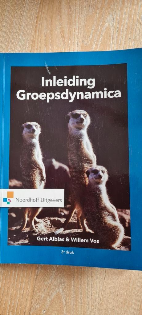Willem Vos - Inleiding groepsdynamica, Boeken, Psychologie, Zo goed als nieuw, Ophalen of Verzenden