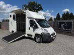 PEUGEOT BOXER 2014 PAARDENWAGEN 113.000KM - BTW WAGEN, Ophalen, Gebruikt, Overige materialen, Overige typen