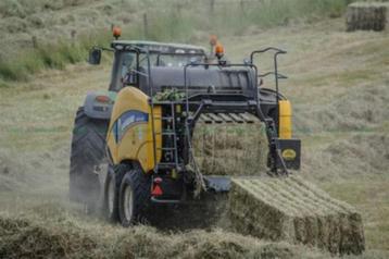 Grote pakken Hooi  beschikbaar voor biedingen