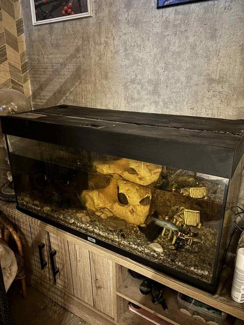 Visbak te koop, Dieren en Toebehoren, Vissen | Aquaria en Toebehoren, Gebruikt, Ophalen