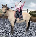 1/3 de pension - Durbuy, Animaux & Accessoires, Enlèvement, Comme neuf, Récréation