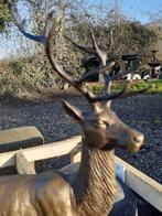 HERT LIGGEND IN BRONZEN BORD OP MARMEREN SOKKEL, Antiek en Kunst, Ophalen of Verzenden, Brons