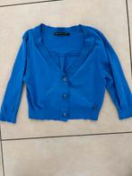 Blauw bolero CKS maat L, Kleding | Dames, Truien en Vesten, Cks, Blauw, Maat 42/44 (L), Ophalen of Verzenden