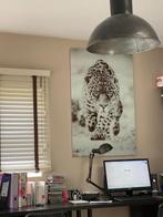 Prachtige grote fotolijst op glas, Ophalen, Zo goed als nieuw