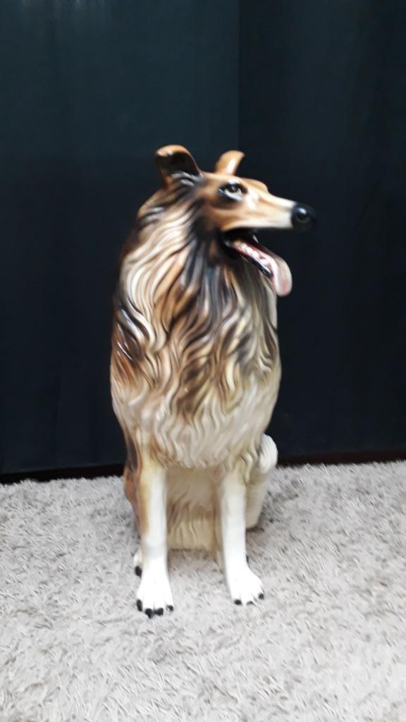 Statue Lassie Collie 75 cm Italie, Collections, Statues & Figurines, Utilisé, Animal, Enlèvement
