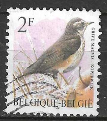 Belgie 1996 - Yvert 2646 /OBP 2653 - Buzin - Koperwiek (ST) beschikbaar voor biedingen