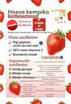 Aardbeien 1 mei promo 3€ klein! 11 locaties kempen, Zakelijke goederen, Landbouw | Aardappelen, Groenten, Fruit en Vlees, Ophalen