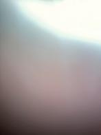 Opruimen van boomen, Immo, Op zoek naar een appartement