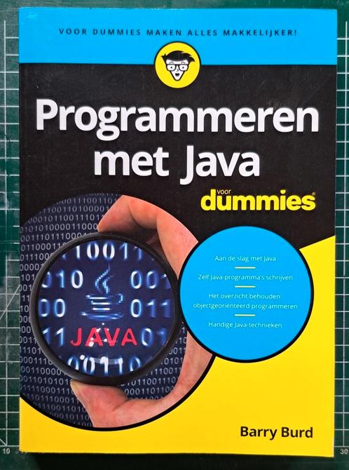 Barry Burd - Programmeren met Java voor dummies, Boeken, Informatica en Computer, Zo goed als nieuw, Ophalen of Verzenden