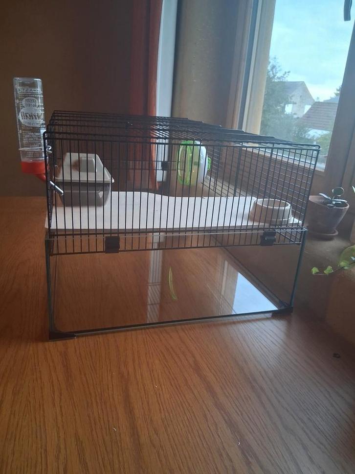 Glazen kooi en toebehoren Russische dwerghamster, Immo, Appartementen en Studio's te huur