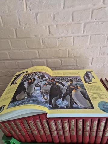 encyclopédie beschikbaar voor biedingen