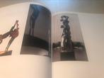 Rik Poot Sculpturen 180pag, Boeken, Ophalen of Verzenden, Zo goed als nieuw, Beeldhouwkunst