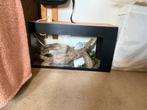 Terrarium, Ophalen, Zo goed als nieuw