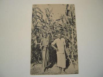 Carte postale, carte, Congo, Mayombe.1922-(2), Enlèvement ou Envoi, Affranchie, Hors Europe