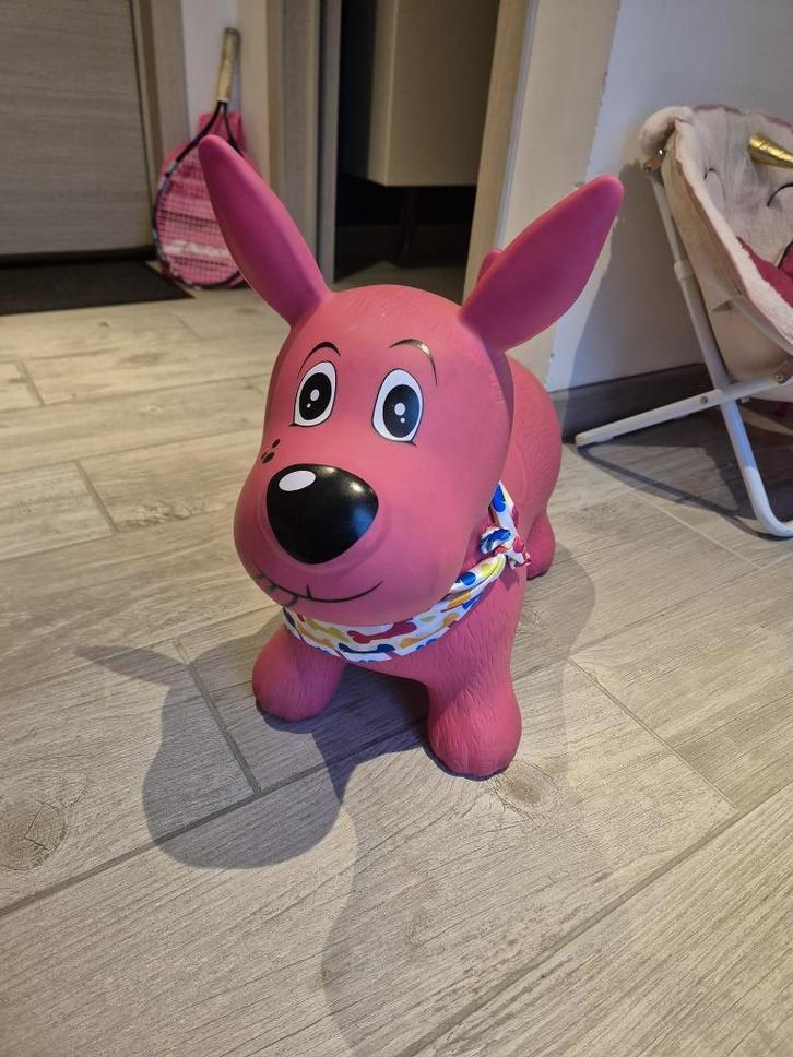 Jouet chien sauteur, Kinderen en Baby's, Speelgoed | Overig, Zo goed als nieuw, Jongen of Meisje, Ophalen