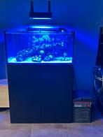 Zeeaquarium 275l, Ophalen, Zo goed als nieuw