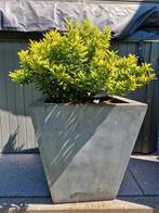 Bloembak blauwe steen look polyester, Tuin en Terras, Bloembakken en Plantenbakken, Ophalen, Gebruikt, Steen