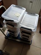 Gedachtenisprentjes, Verzamelen, Bidprentjes en Rouwkaarten, Ophalen, Bidprentje
