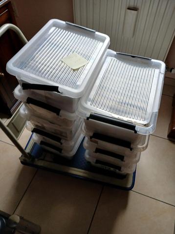 Gedachtenisprentjes beschikbaar voor biedingen