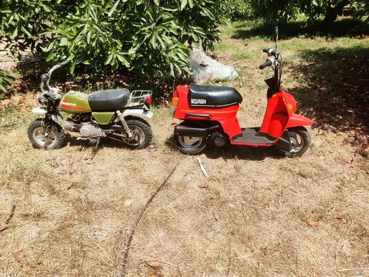 Zeldzame Honda squash 50cc 2t, Fietsen en Brommers, Brommeronderdelen | Algemeen, Gebruikt, Ophalen
