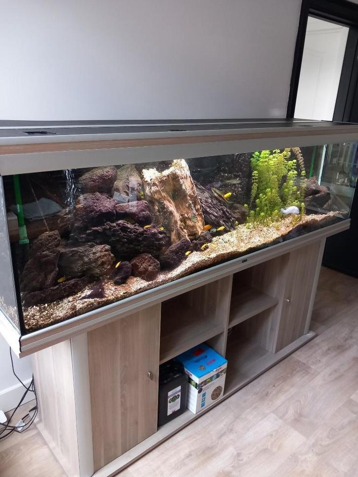 Aquarium Aqualantis 2 meter, Dieren en Toebehoren, Vissen | Aquaria en Toebehoren, Gebruikt, Gevuld zoetwateraquarium, Ophalen