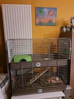 Caviahok, Dieren en Toebehoren, Ophalen, Gebruikt