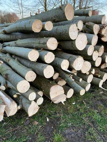 Wilgenhout  beschikbaar voor biedingen