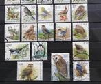 Postzegels van België: Buzin birds geannuleerd., Met stempel, Frankeerzegel, Ophalen of Verzenden, Gestempeld