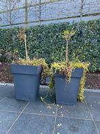 Tuin bakken, Ophalen of Verzenden, Zo goed als nieuw, Tuin